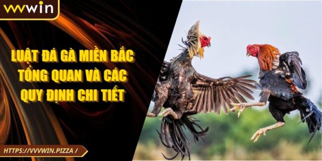 Luật Đá Gà Miền Bắc Tổng Quan Và Các Quy Định Chi Tiết