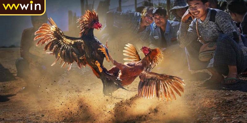 Thời gian thi đấu